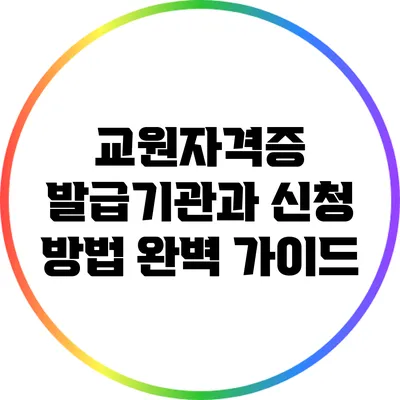 교원자격증 발급기관과 신청 방법 완벽 가이드