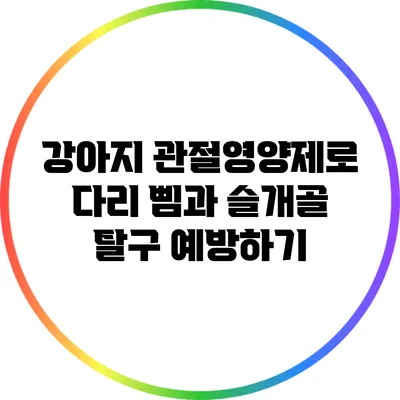 강아지 관절영양제로 다리 삠과 슬개골 탈구 예방하기