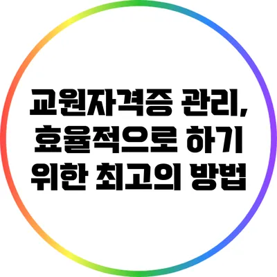 교원자격증 관리, 효율적으로 하기 위한 최고의 방법