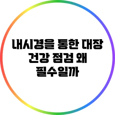내시경을 통한 대장 건강 점검: 왜 필수일까?