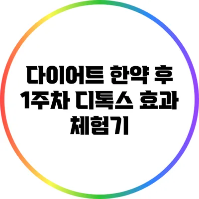 다이어트 한약 후 1주차 디톡스 효과 체험기