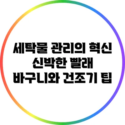 세탁물 관리의 혁신: 신박한 빨래 바구니와 건조기 팁