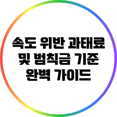 속도 위반 과태료 및 범칙금 기준 완벽 가이드