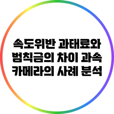 속도위반 과태료와 범칙금의 차이: 과속 카메라의 사례 분석