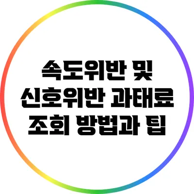 속도위반 및 신호위반 과태료 조회 방법과 팁