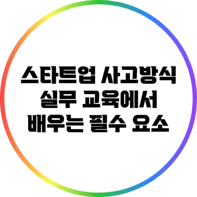 스타트업 사고방식: 실무 교육에서 배우는 필수 요소