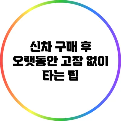 신차 구매 후 오랫동안 고장 없이 타는 팁