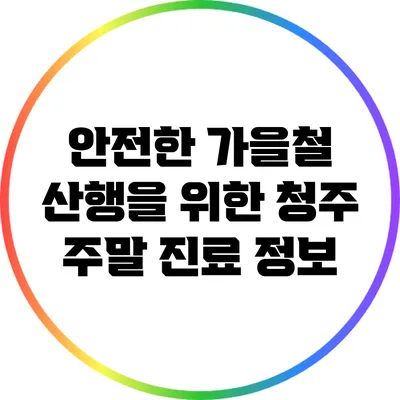 안전한 가을철 산행을 위한 청주 주말 진료 정보