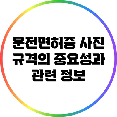 운전면허증 사진 규격의 중요성과 관련 정보