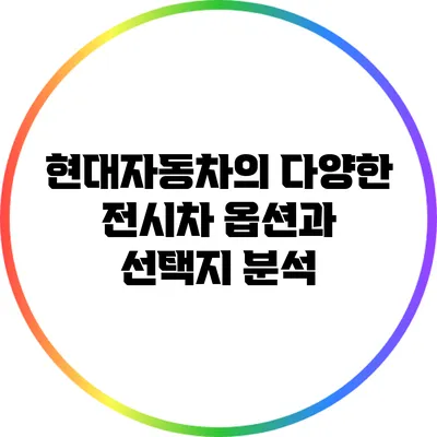 현대자동차의 다양한 전시차 옵션과 선택지 분석