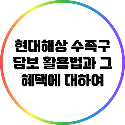 현대해상 수족구 담보 활용법과 그 혜택에 대하여