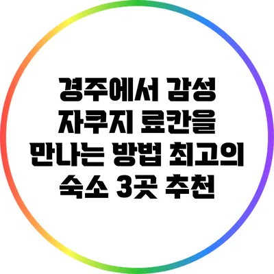 경주에서 감성 자쿠지 료칸을 만나는 방법: 최고의 숙소 3곳 추천
