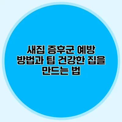 새집 증후군 예방 방법과 팁: 건강한 집을 만드는 법