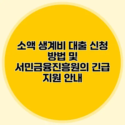 소액 생계비 대출: 신청 방법 및 서민금융진흥원의 긴급 지원 안내