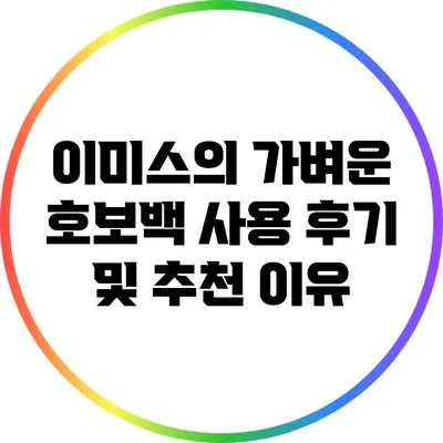 이미스의 가벼운 호보백 사용 후기 및 추천 이유
