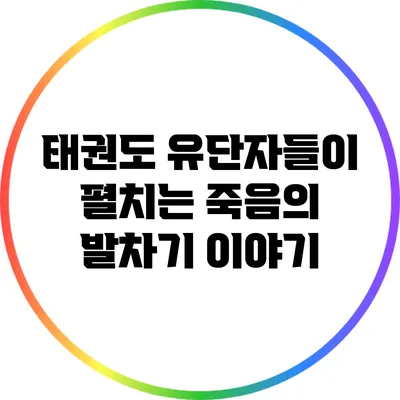태권도 유단자들이 펼치는 죽음의 발차기 이야기