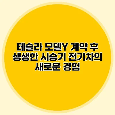 테슬라 모델Y 계약 후 생생한 시승기: 전기차의 새로운 경험