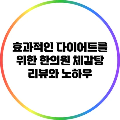 효과적인 다이어트를 위한 한의원 체감탕 리뷰와 노하우