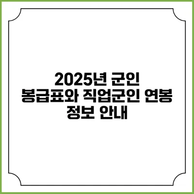 2025년 군인 봉급표와 직업군인 연봉 정보 안내