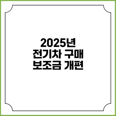 2025년 전기차 구매 보조금 개편