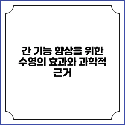 간 기능 향상을 위한 수영의 효과와 과학적 근거