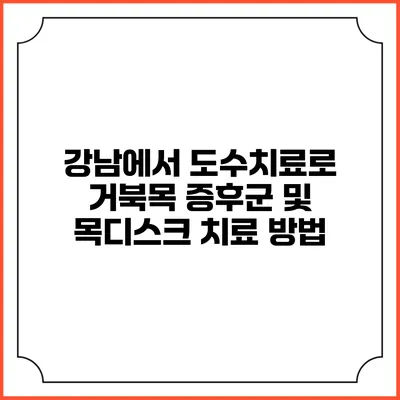 강남에서 도수치료로 거북목 증후군 및 목디스크 치료 방법