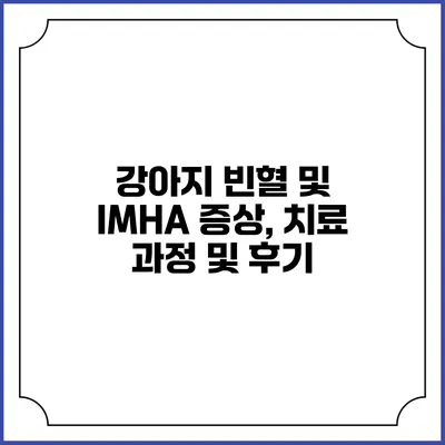 강아지 빈혈 및 IMHA: 증상, 치료 과정 및 후기