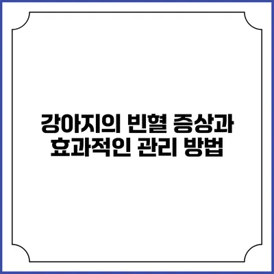 강아지의 빈혈 증상과 효과적인 관리 방법