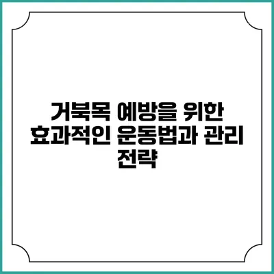 거북목 예방을 위한 효과적인 운동법과 관리 전략