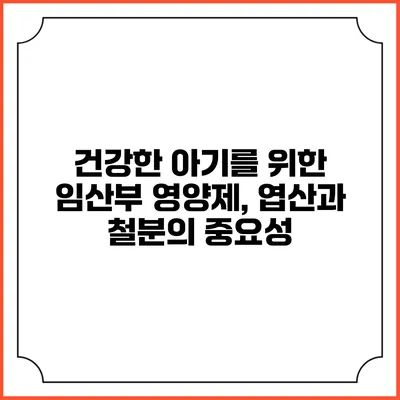 건강한 아기를 위한 임산부 영양제, 엽산과 철분의 중요성