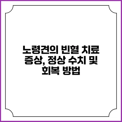 노령견의 빈혈 치료: 증상, 정상 수치 및 회복 방법
