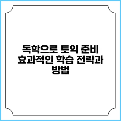 독학으로 토익 준비: 효과적인 학습 전략과 방법
