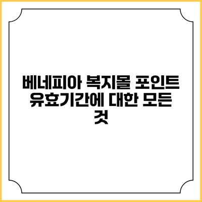 베네피아 복지몰 포인트 유효기간에 대한 모든 것