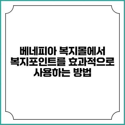 베네피아 복지몰에서 복지포인트를 효과적으로 사용하는 방법