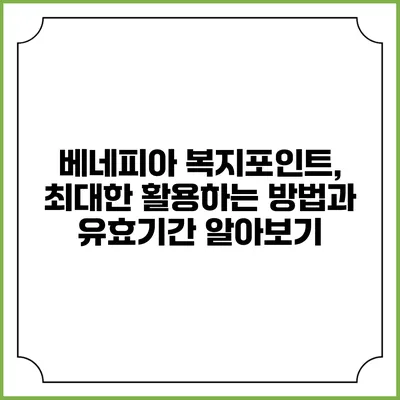 베네피아 복지포인트, 최대한 활용하는 방법과 유효기간 알아보기