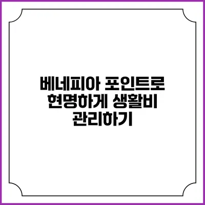 베네피아 포인트로 현명하게 생활비 관리하기