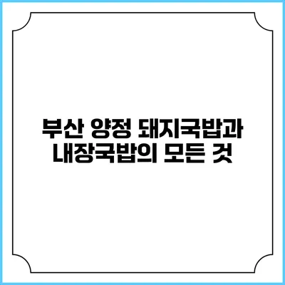 부산 양정 돼지국밥과 내장국밥의 모든 것