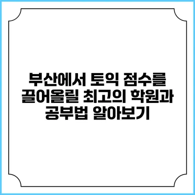 부산에서 토익 점수를 끌어올릴 최고의 학원과 공부법 알아보기