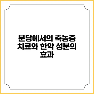 분당에서의 축농증 치료와 한약 성분의 효과