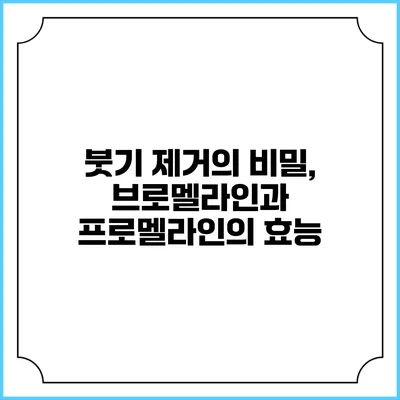 붓기 제거의 비밀, 브로멜라인과 프로멜라인의 효능