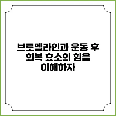 브로멜라인과 운동 후 회복: 효소의 힘을 이해하자