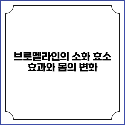 브로멜라인의 소화 효소 효과와 몸의 변화