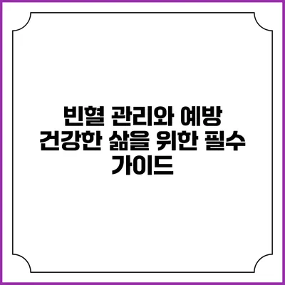 빈혈 관리와 예방: 건강한 삶을 위한 필수 가이드