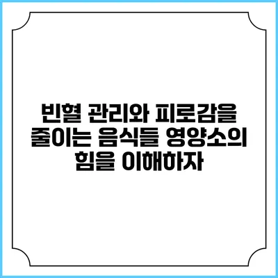 빈혈 관리와 피로감을 줄이는 음식들: 영양소의 힘을 이해하자