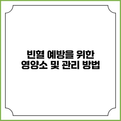 빈혈 예방을 위한 영양소 및 관리 방법
