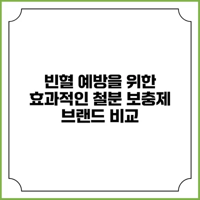빈혈 예방을 위한 효과적인 철분 보충제 브랜드 비교