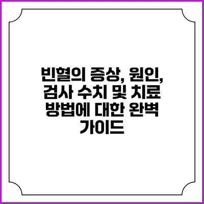 빈혈의 증상, 원인, 검사 수치 및 치료 방법에 대한 완벽 가이드