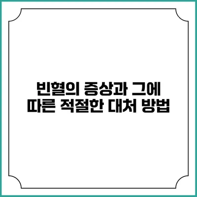 빈혈의 증상과 그에 따른 적절한 대처 방법