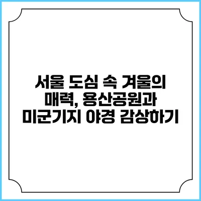 서울 도심 속 겨울의 매력, 용산공원과 미군기지 야경 감상하기