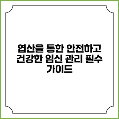 엽산을 통한 안전하고 건강한 임신 관리: 필수 가이드